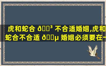 虎和蛇合 🌳 不合适婚姻,虎和蛇合不合适 🌵 婚姻必须要在一起